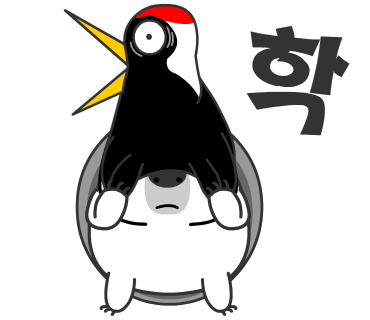 드림핏 이미지