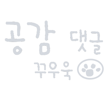 양동손칼국수 이미지