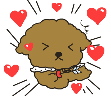 아기동물카페 이미지