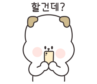 닥터페이퍼 이미지