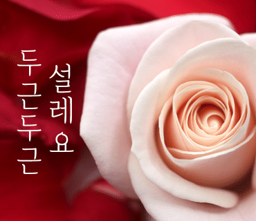 더케이소피아그린(주) 이미지