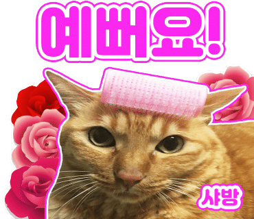 네일바이썬 이미지