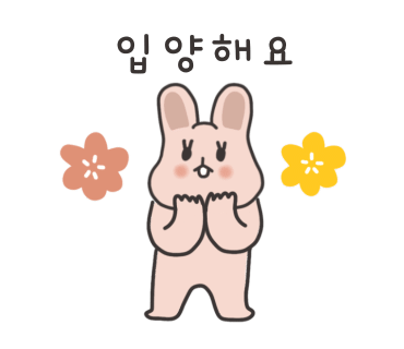 카라인테리어 이미지