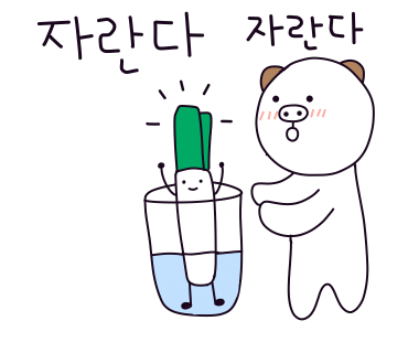 산갈래닭갈비 이미지