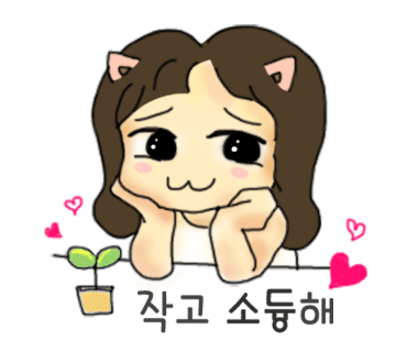 마트리카리아 이미지