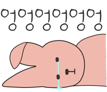 네일희릿 이미지