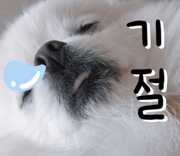 건강하오 이미지