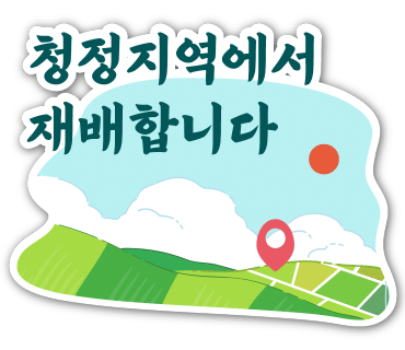 미래향 이미지