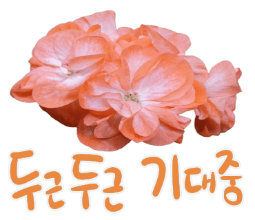 바제라늄 이미지