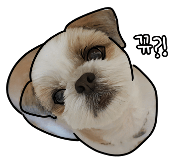 어나더153애견펜션 이미지
