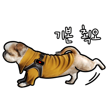 어나더153애견펜션 이미지