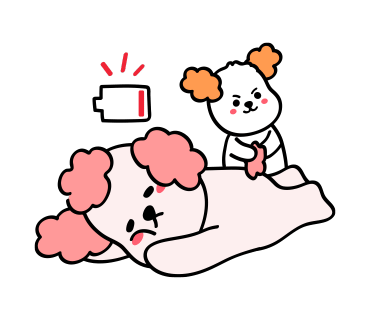 체리바 이미지