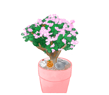 알루즈 이미지
