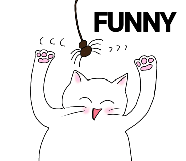 냐옹이네꽃집 이미지