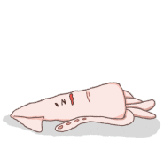 에이커Acre 이미지