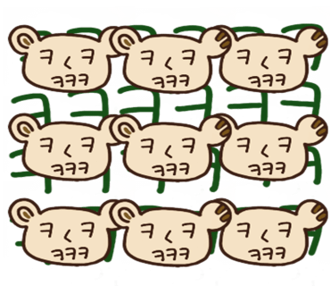 비바플렉스 이미지