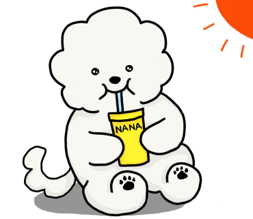 도토리숲키즈파크 이미지