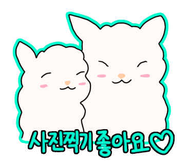 더스완 이미지
