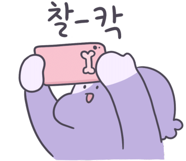 세움내움 이미지