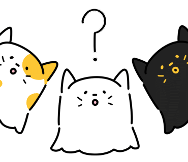 서울칼국수 이미지
