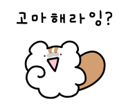 요크커피 이미지