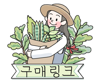 테이블가드닝 이미지