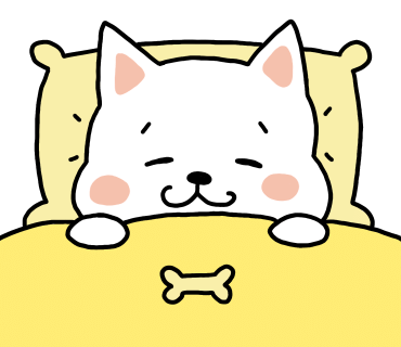 포항밤바다 이미지