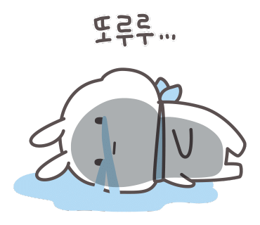 대추사진관 이미지