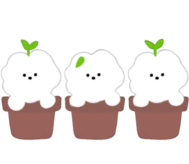 슬로울리 이미지
