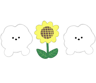 이츠모라멘 이미지
