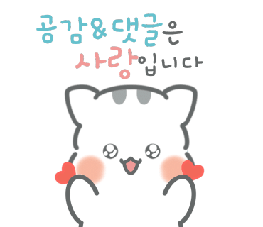 에스엠(SM)헤어 이미지