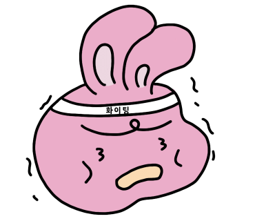 클라인빈 이미지