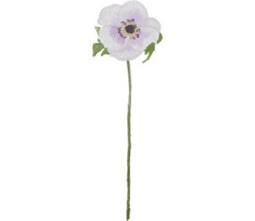 청초공방 이미지