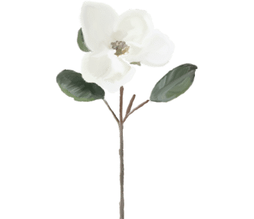 청초공방 이미지