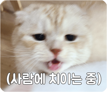 홍만당 이미지