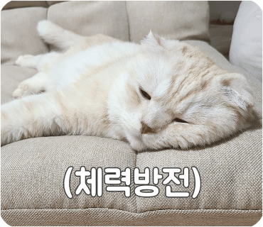 고마운 선물가게 이미지