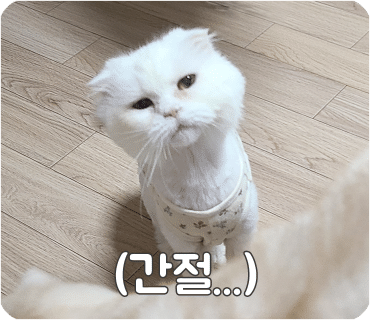 소망편의점 이미지