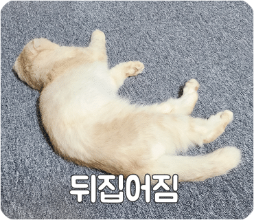한국종합주방 이미지