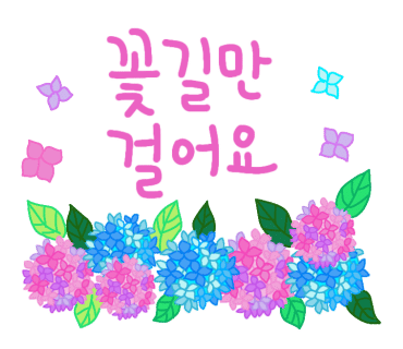 중앙꽃집 이미지