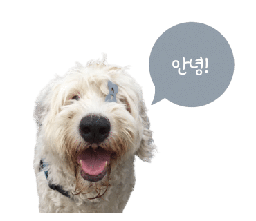 한섬현대 이미지