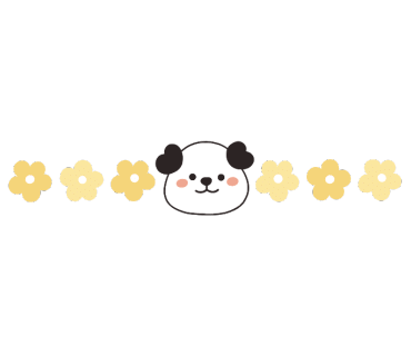 STEY 이미지