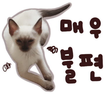 밀사랑칼국수 이미지