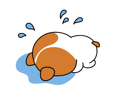 제우스아카데미 이미지