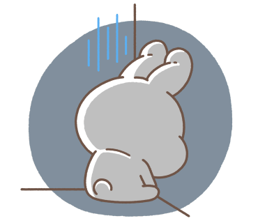 허성준족발보쌈 이미지