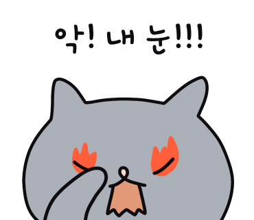 홀리앤졸리 이미지