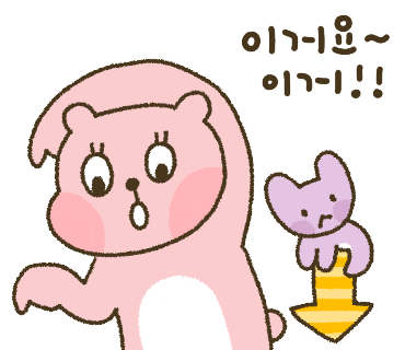 제주덴트 이미지