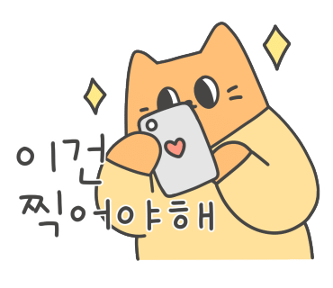 플라운더(Flounder) 이미지