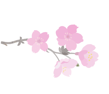 경옥 이미지