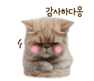 마티나로스팅커피머신 이미지