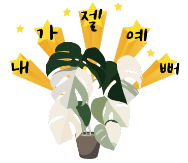 식물카페아단소니 이미지